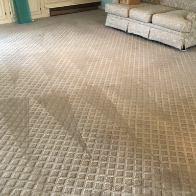 Perfect for Pet Owners